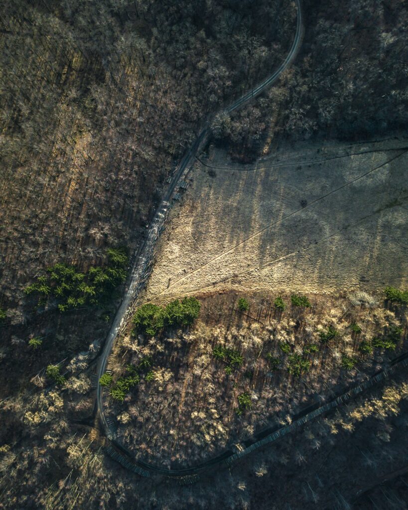 Erosion Control