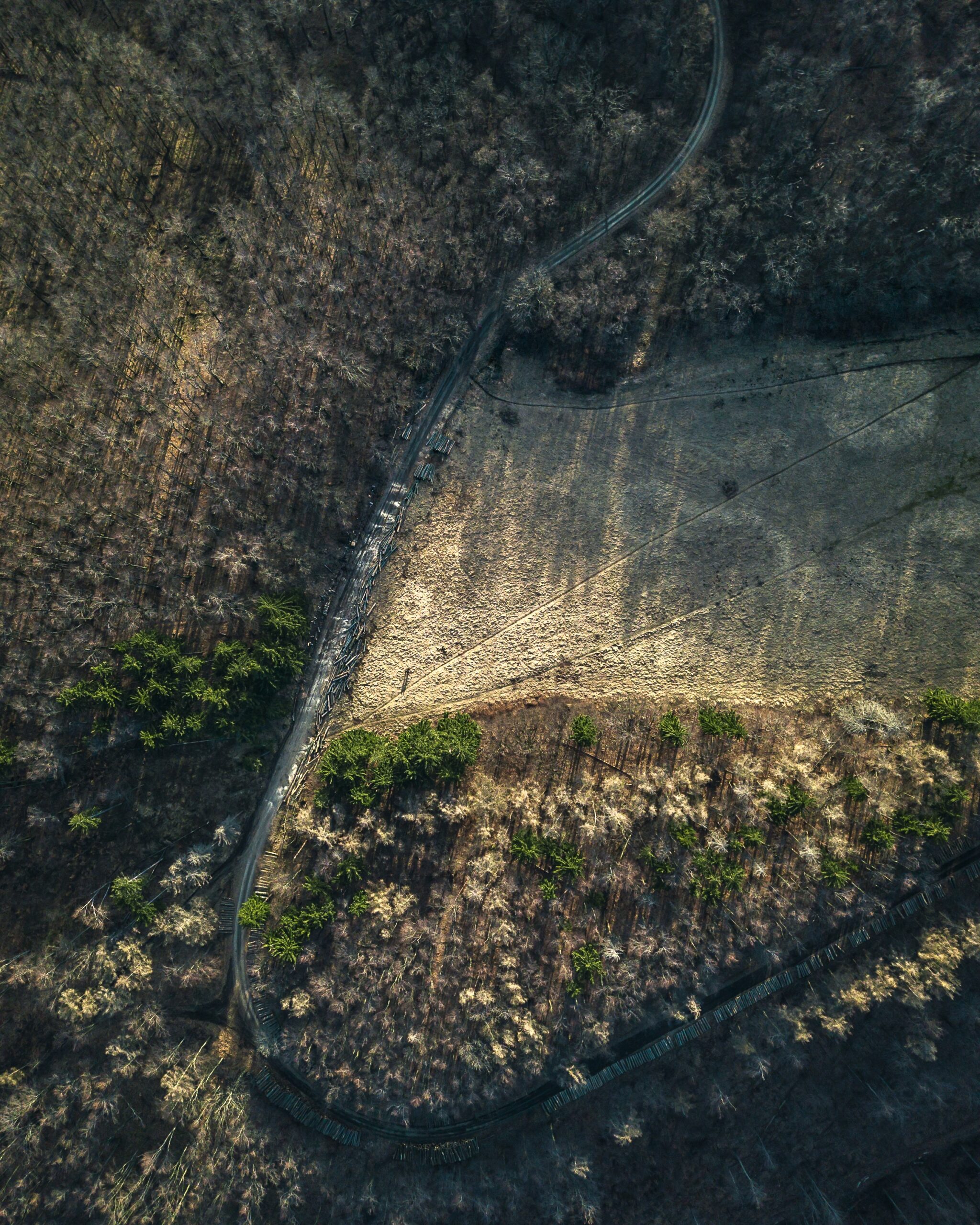 Erosion Control