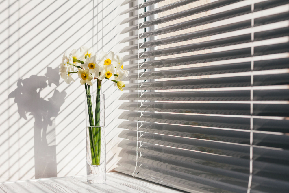B & T Blinds